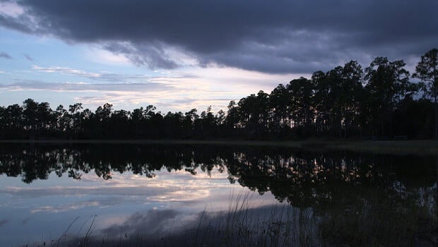everglades-national-park-scenic-620.jpg