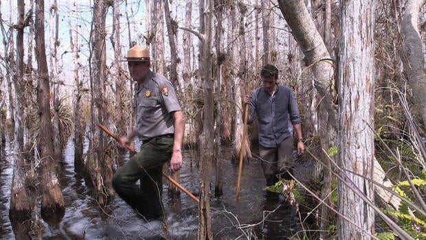 conor-knighton-in-everglades-national-park-620.jpg