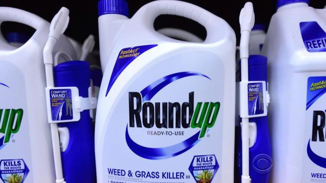 New Court Papers Charge Monsanto Manipulated New Court Papers Charge Monsanto Manipulated
