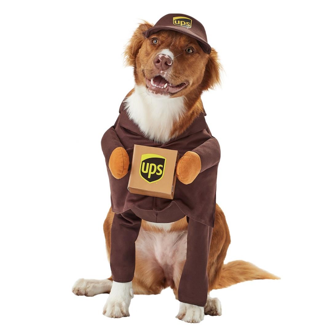 California Costumes UPS Delivery Driver Dog Costume 