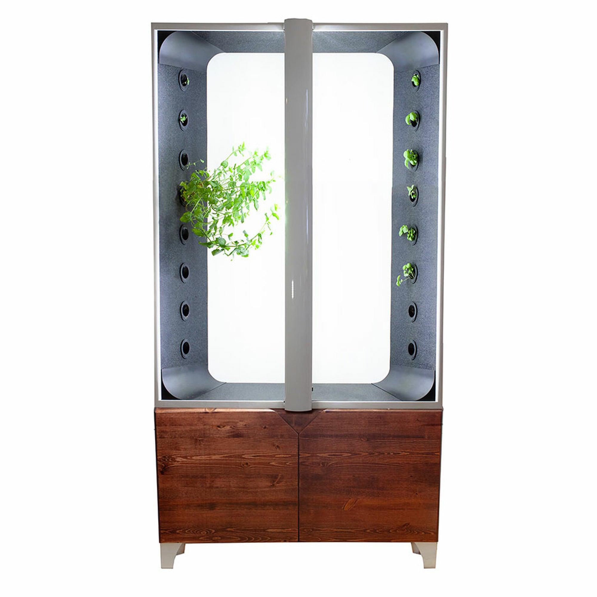 Just Vertical the indoor hydroponic garden Aeva 