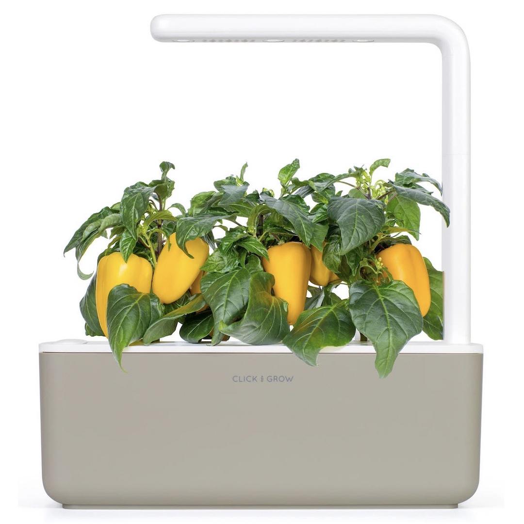 Click & Grow Smart Garden 3 Self-Watering Indoor Garden 