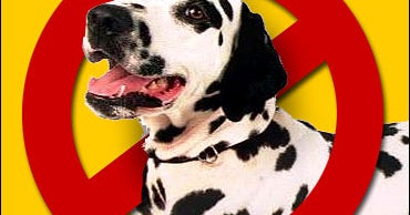 Insurance Carriers Bite Dog Owners CBS News