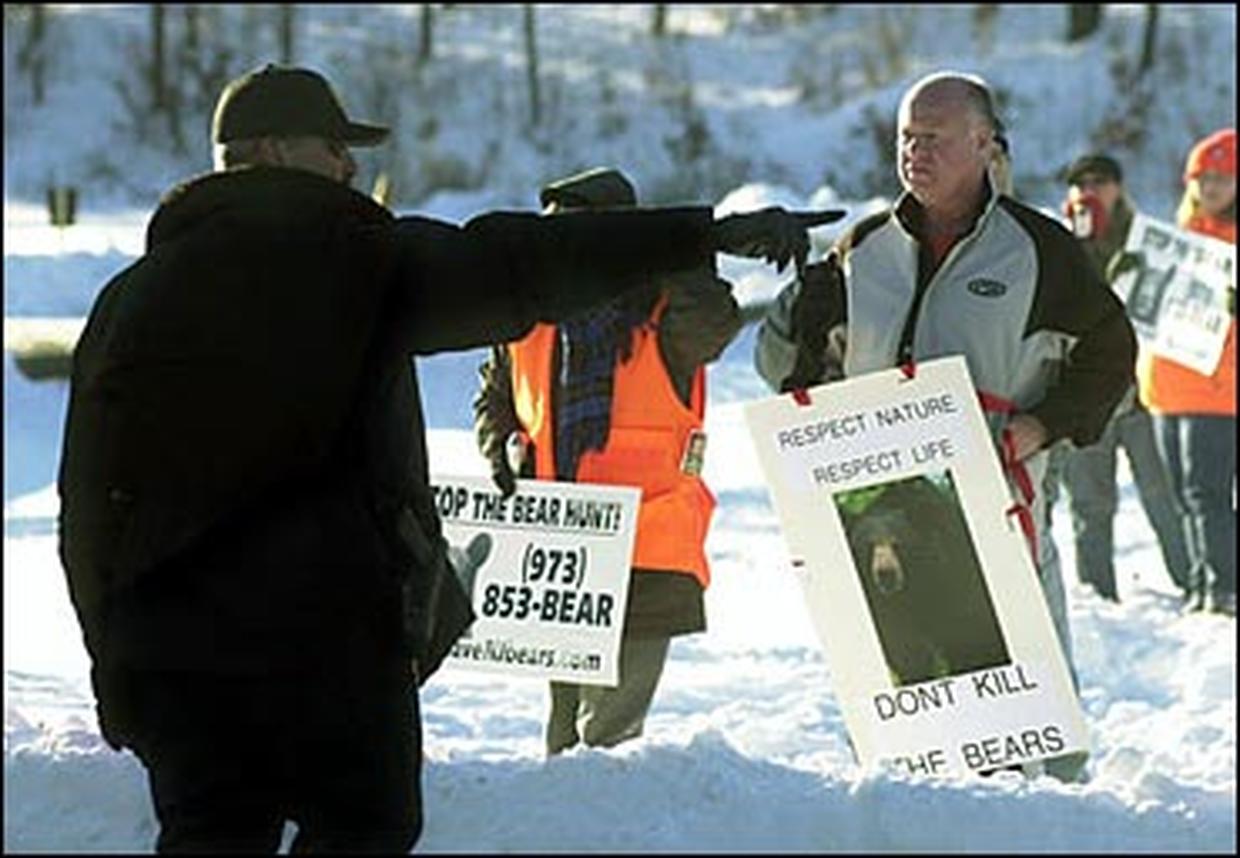 New Jersey Bear Hunt Photo 1 CBS News