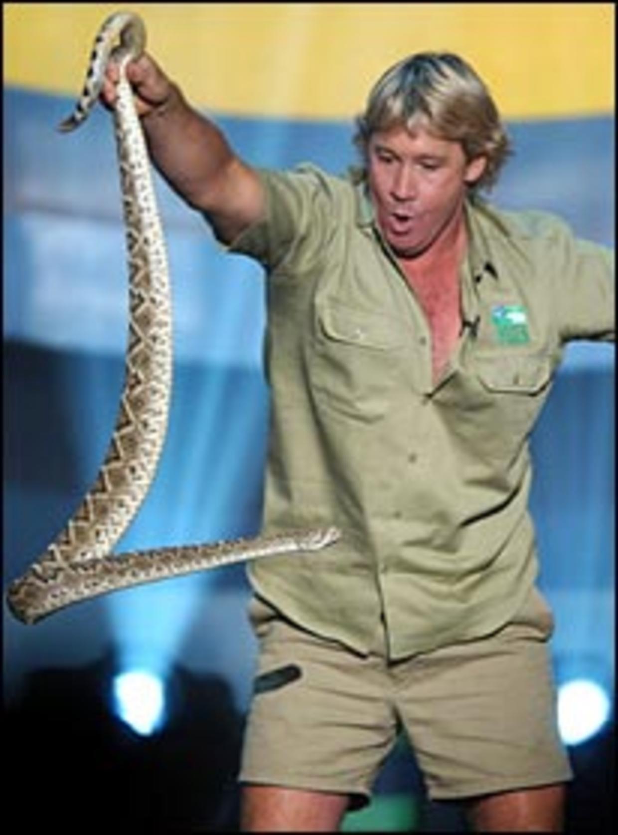 steve irwin pop with snake