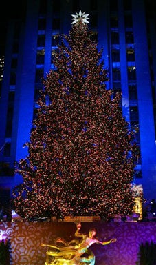 O Christmas Tree Cbs News