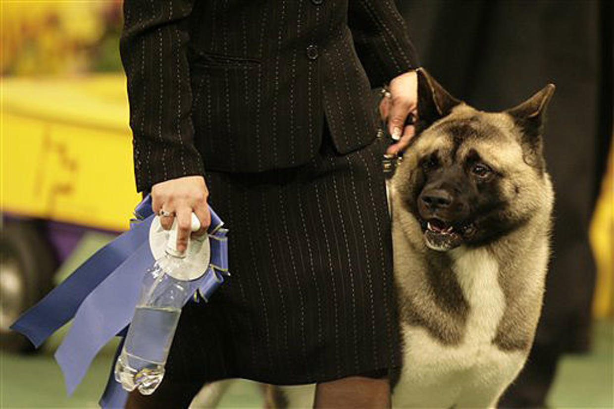 2007 Westminster Dog Show