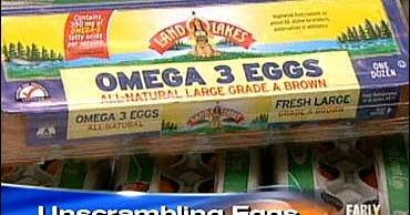New Scrutiny For Omega3 Eggs CBS News