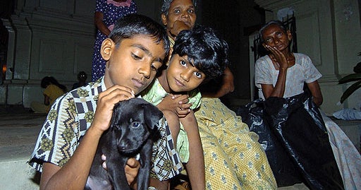 Girl Killed By Stray Hockey Puck CBS News