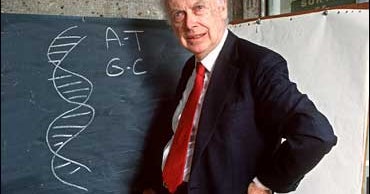 a biography of james d watson an american geneticist James dewey watson what were his hobbies qualifications and also james dewey watson is an american geneticist and com/biography /watsonjameshtml. a biography of james d watson an american geneticist James dewey watson what were his hobbies qualifications and also james dewey watson is an american geneticist and com/biography /watsonjameshtml.