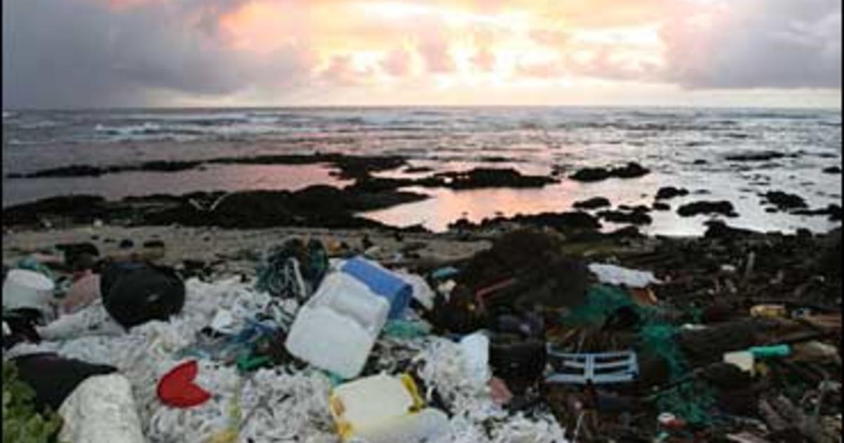 7 Million Pounds Of Beach Trash Collected Cbs News