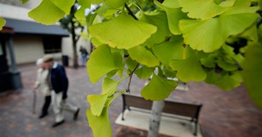 Smell Has Some Cities Ripping Out Ginkgo Trees CBS News