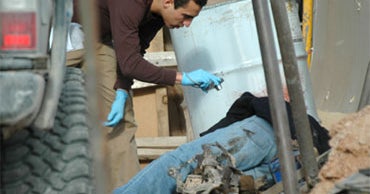 7 Bodies Found in Mexico Linked to Cartels CBS News