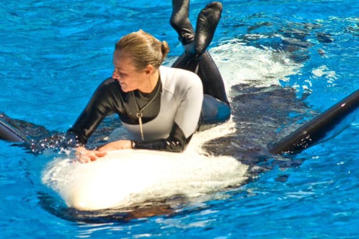 Dawn Brancheau SeaWorld Trainer Killed CBS News