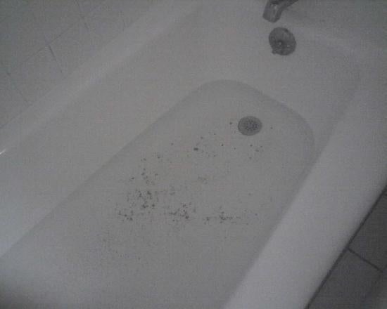 Top 10 Dirtiest Hotels in America