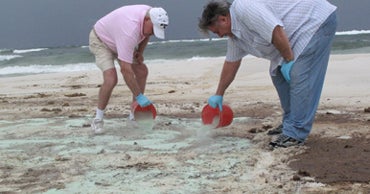 Inventors Demonstrate Their SandCleaning Ideas CBS News