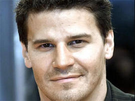 David Boreanaz Sued by Kristina Hagan; "Bones" Extra Claims Sexual Harassment