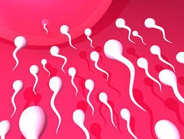 sperm