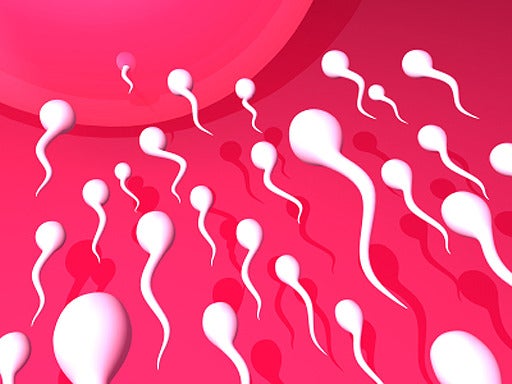 sperm_6.jpg 