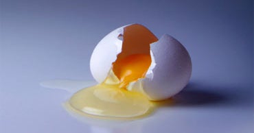 Salmonella Scare Prompts Egg Recall CBS News