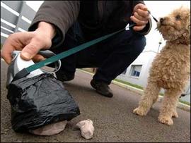 Woman Hits Driver In Face with Dog Poop, Because She Believed He Was Speeding