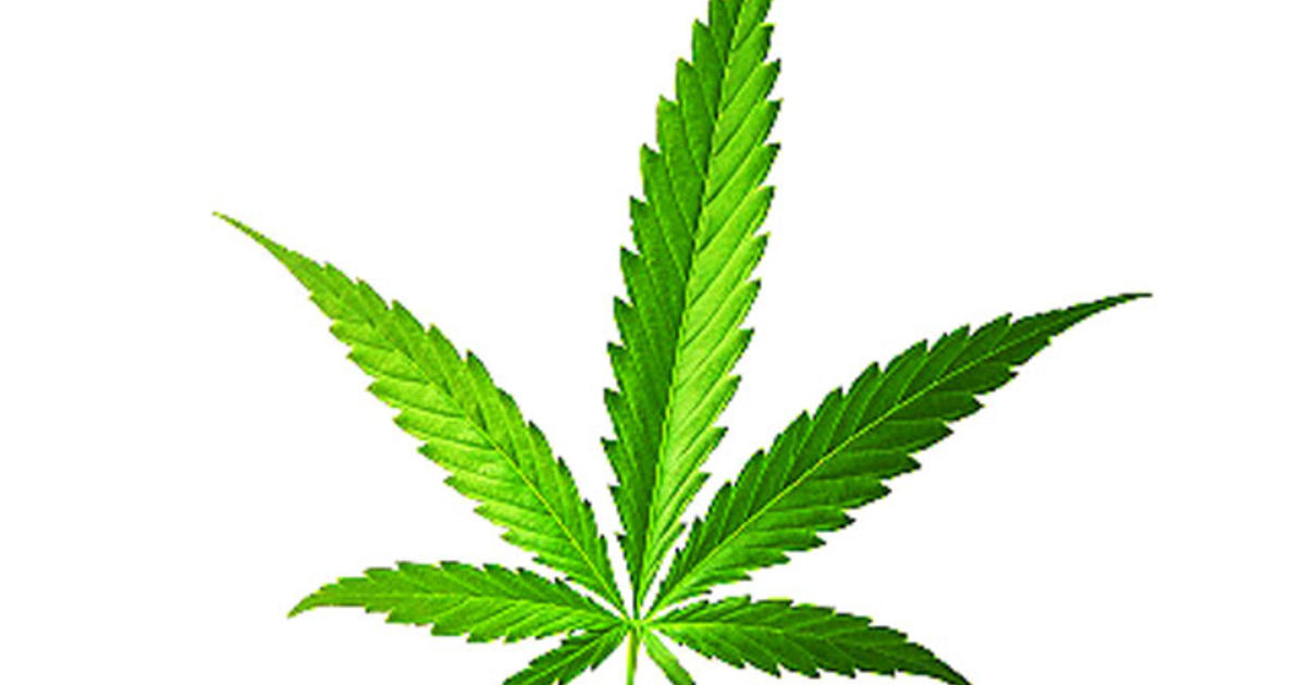 Marijuana 7 Health Myths Up In Smoke Cbs News