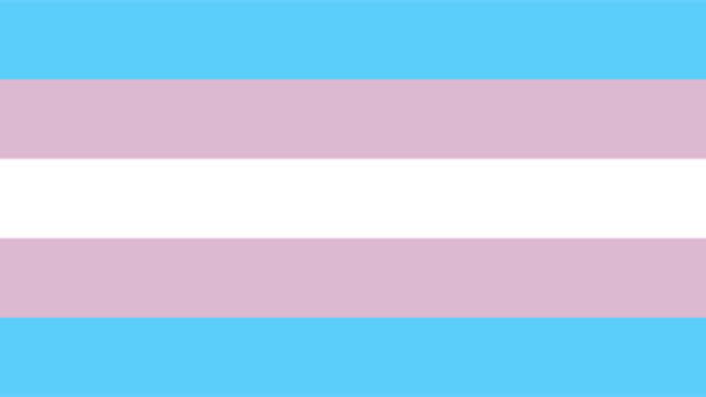 transgender_pride_flag_2_1122.jpg 