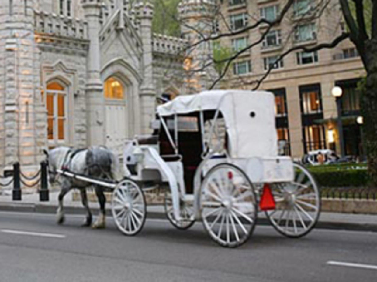 Best Carriage Rides In Chicago CBS Chicago