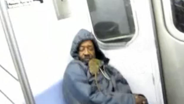 Caught On Tape Rat Gets In Nyc Subway Riders Face Cbs News