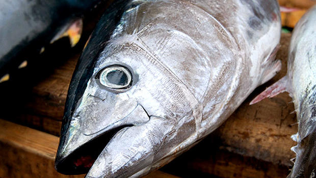 Tuna Fish Puke Porn - CDC: Cyclospora parasite behind more than 275 illnesses ...