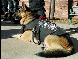 Barking at police dog leads to charge for Ohio man