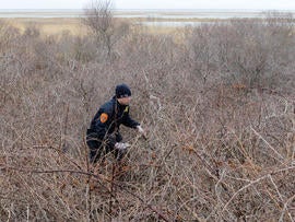 Long Island serial killer? 2 more sets of bones NY beach; brings total to 10