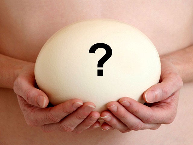 Human eggs 9 fascinating facts CBS News