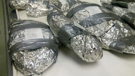 NOAA Testing