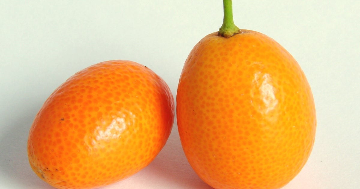 Get Wallpaper Kumquat 15 Strange Fruits And Vegetables Cbs News For Free