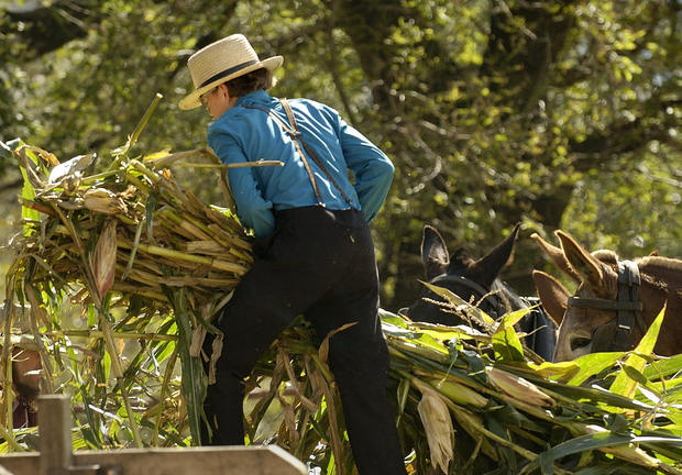 Inside Amish Life Photo 1 Cbs News 