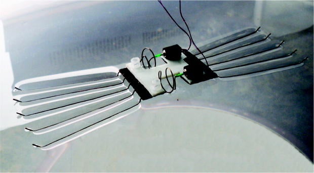 Water-striding bot