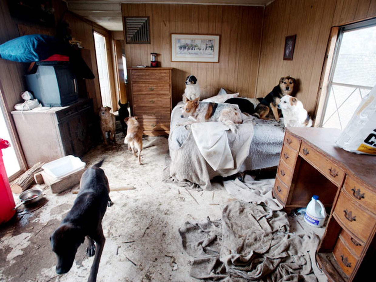 Pet hoarding horrors 27 photos spotlight cruel disorder Photo 16 CBS News