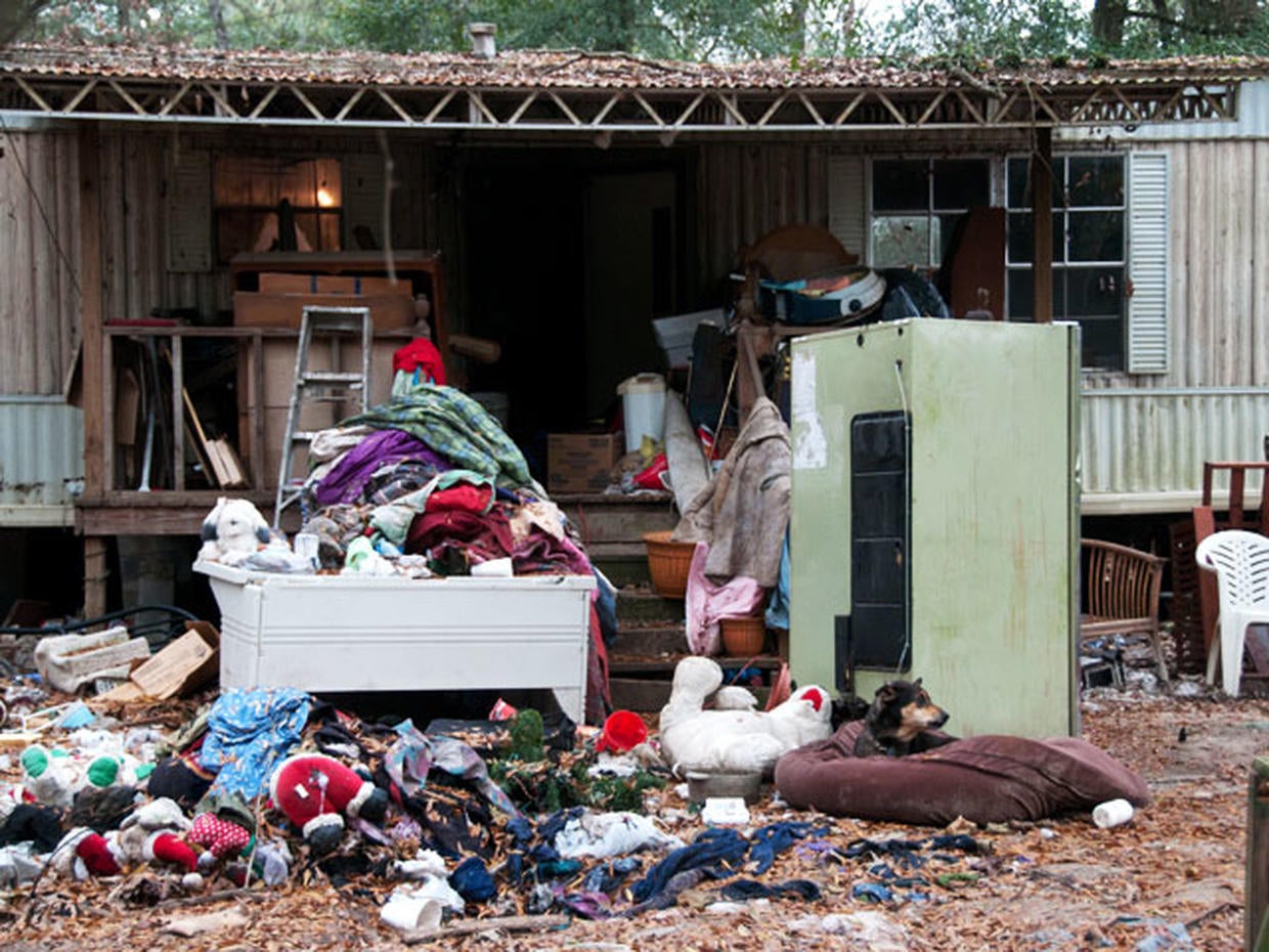 Pet hoarding horrors 27 photos spotlight cruel disorder Photo 21