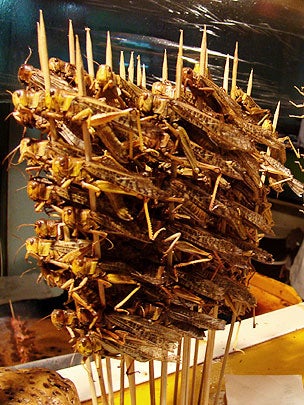 Good grub 13 edible bugs CBS News