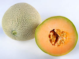 cantaloupe