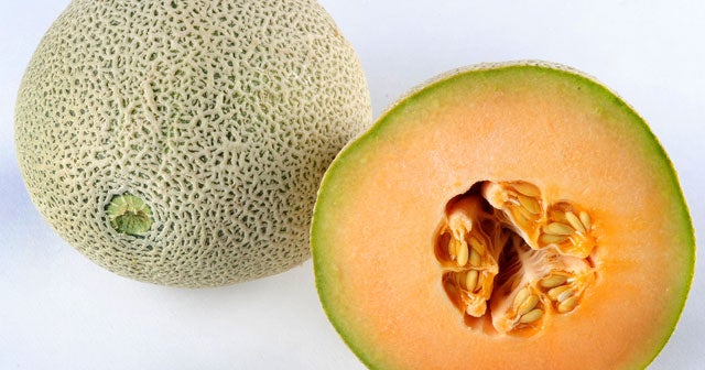 morilee cantaloupe
