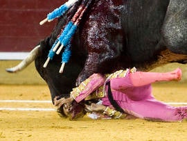 Bullfighter Juan Jose Padilla being gored.