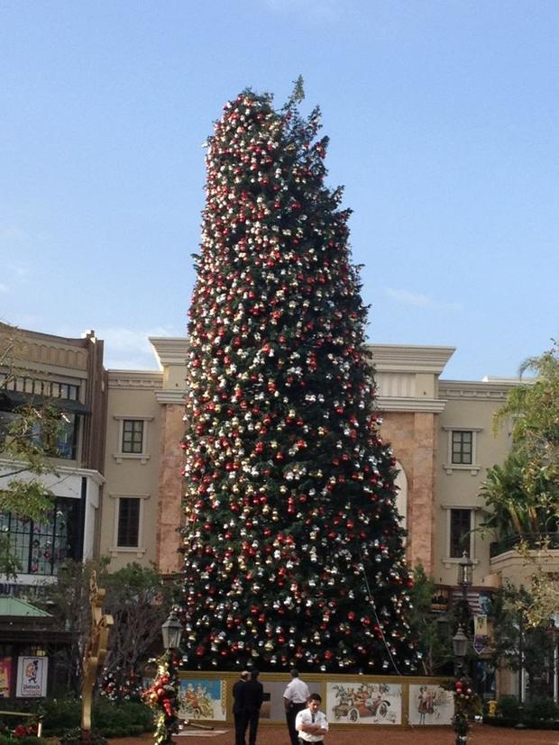 americana-at-brand-christmas-tree.jpg 