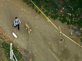 A dog walker is seen in the Hollywood Hills area of Los Angeles Jan. 17, 2012, after police responded to a report that a human head was discovered nearby.