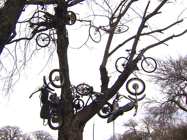 Fort Worth Bicycle Tree 2 
