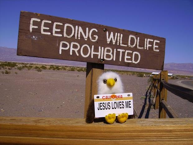 Death Valley Wildlife Sign 