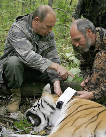 Putin doing manly things - Vladimir Putin doing manly things - Pictures