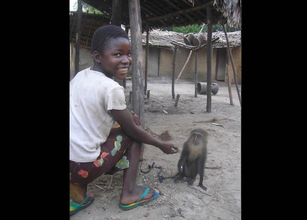 The picture that started it all: Georgette with her monkey friend.