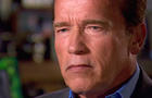 Preview: Arnold 